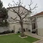 Arbre entretenu avec résultat