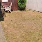 Entretiens des herbes