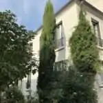Arbres proche de l&rsquo;habitation