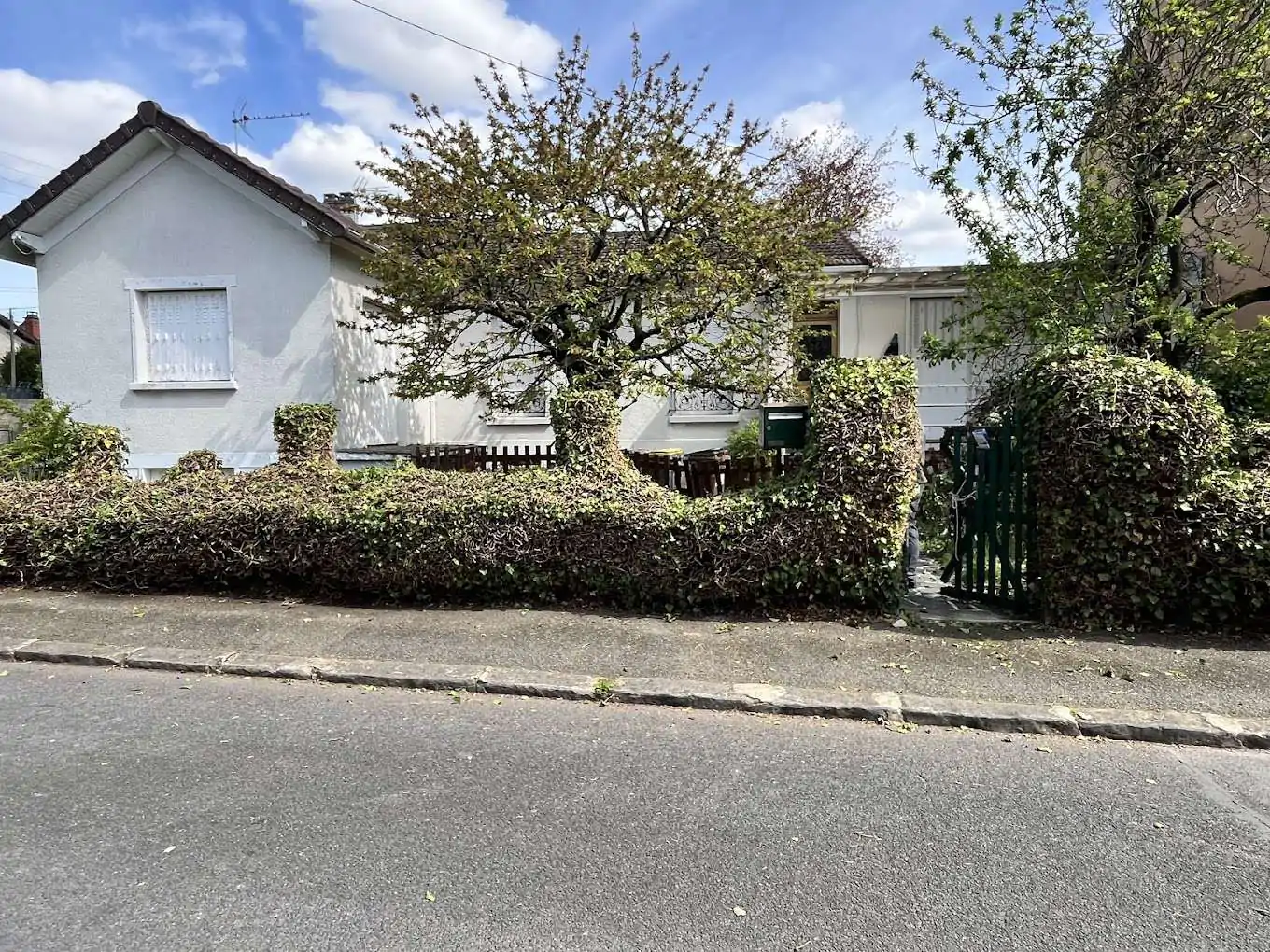 Entretien de buisson et branches d&rsquo;arbres