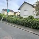 Buissons à l&rsquo;extérieurs de l&rsquo;habitation
